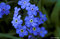 september03's Avatar