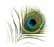 sloka4444's Avatar