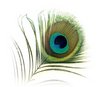 sloka4444's Avatar
