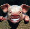 Tatooh's Avatar