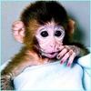 Miamonkey9's Avatar
