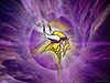 Mad91's Avatar