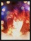 StephAnderson's Avatar