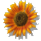 lalalucybooboo1's Avatar