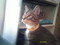jessicasmith910's Avatar