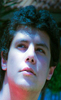 shereeeef's Avatar