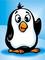 wg6609's Avatar