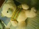 beartest's Avatar