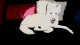 nany cee's Avatar