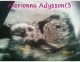 AlerionnasMommy's Avatar