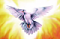 Youshaa's Avatar
