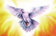 Youshaa's Avatar