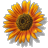 maddy161625's Avatar