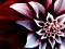 Burtney_682's Avatar