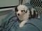 aydie's Avatar
