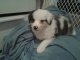 aydie's Avatar