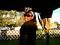 im_so_in_love's Avatar