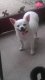 ItsMeWinnie's Avatar