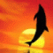feather7's Avatar