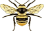 BigBee's Avatar